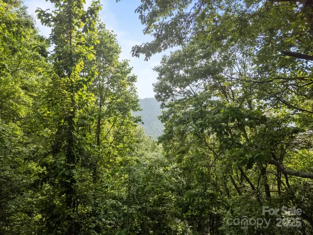 $16,000 | 0 Granny Shepherd Road, Apex, NC 27523