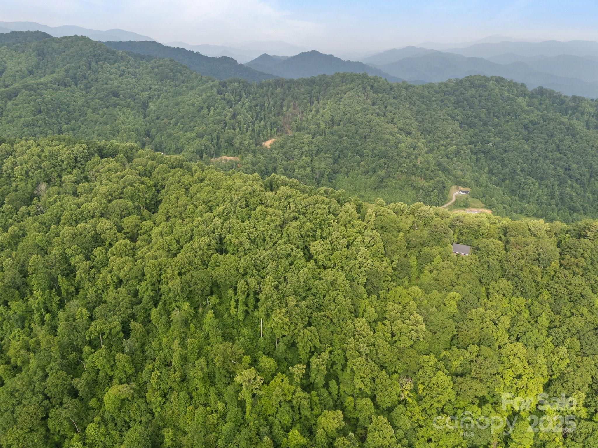 0 Granny Shepherd Road Apex, NC 27523 - Photo 6 of 13