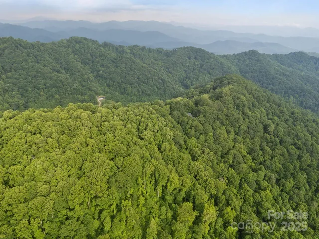 $16,000 | 0 Granny Shepherd Road, Apex, NC 27523