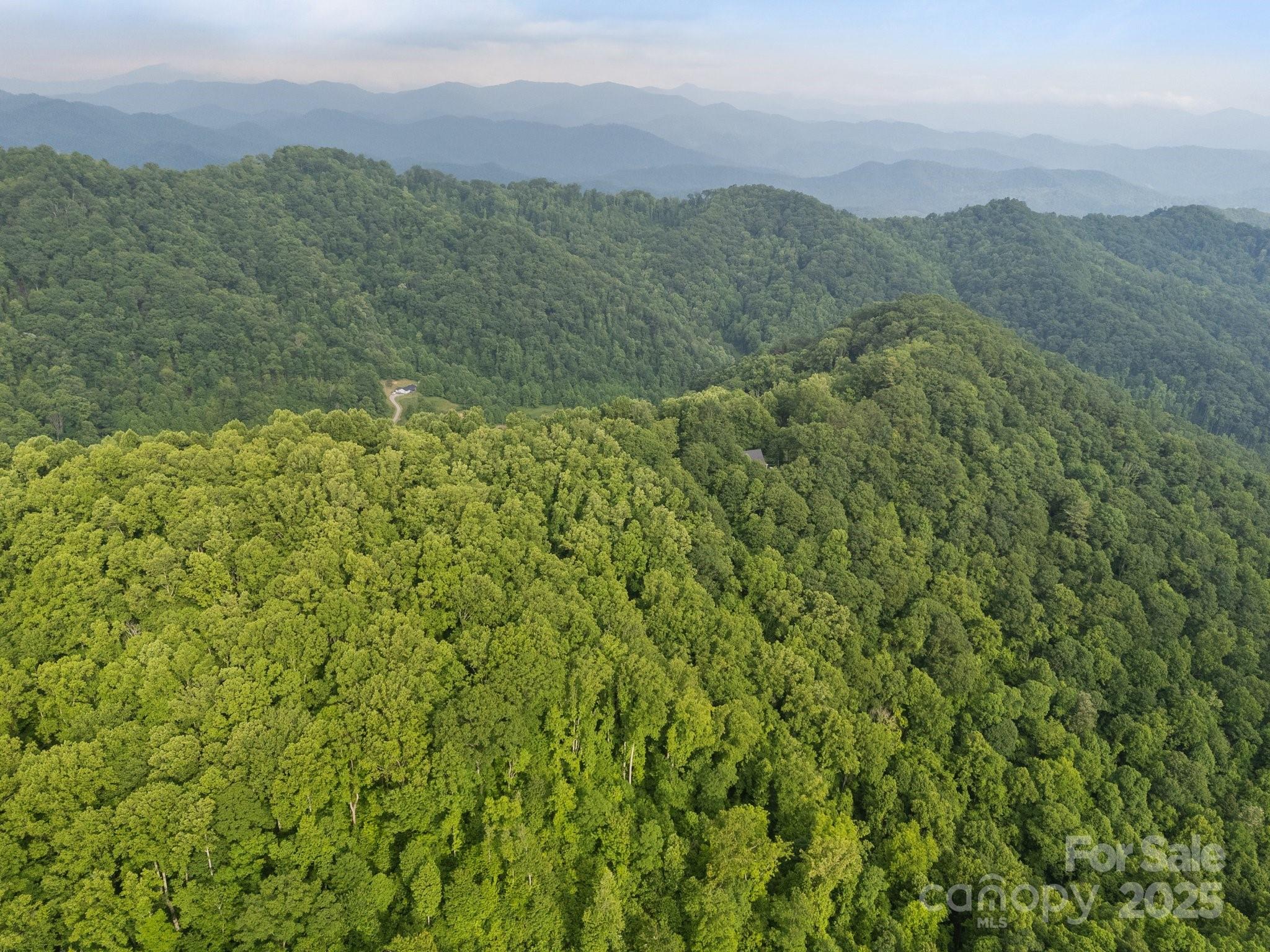 0 Granny Shepherd Road Apex, NC 27523 - Photo 9 of 13