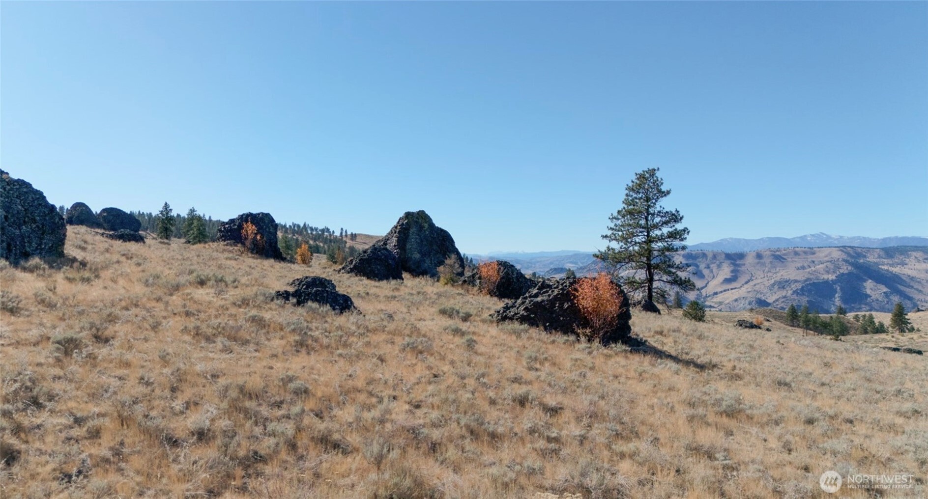 54 Wolf Holler Road Waterville, WA 98858 - Photo 11 of 14