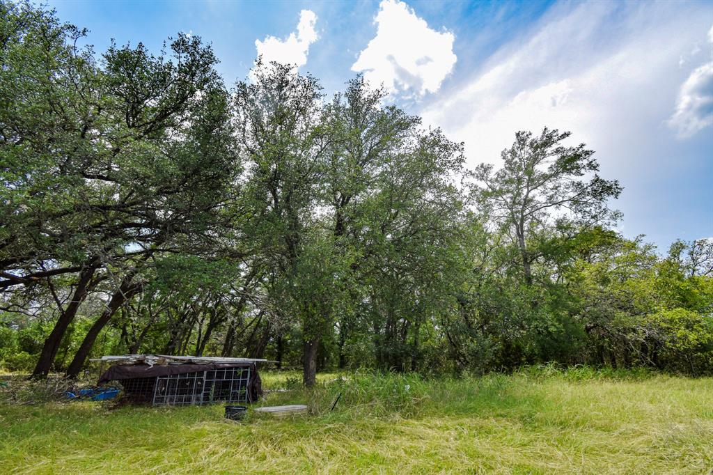 95 Homestead Drive Rochelle, TX 76872 - Photo 8 of 12