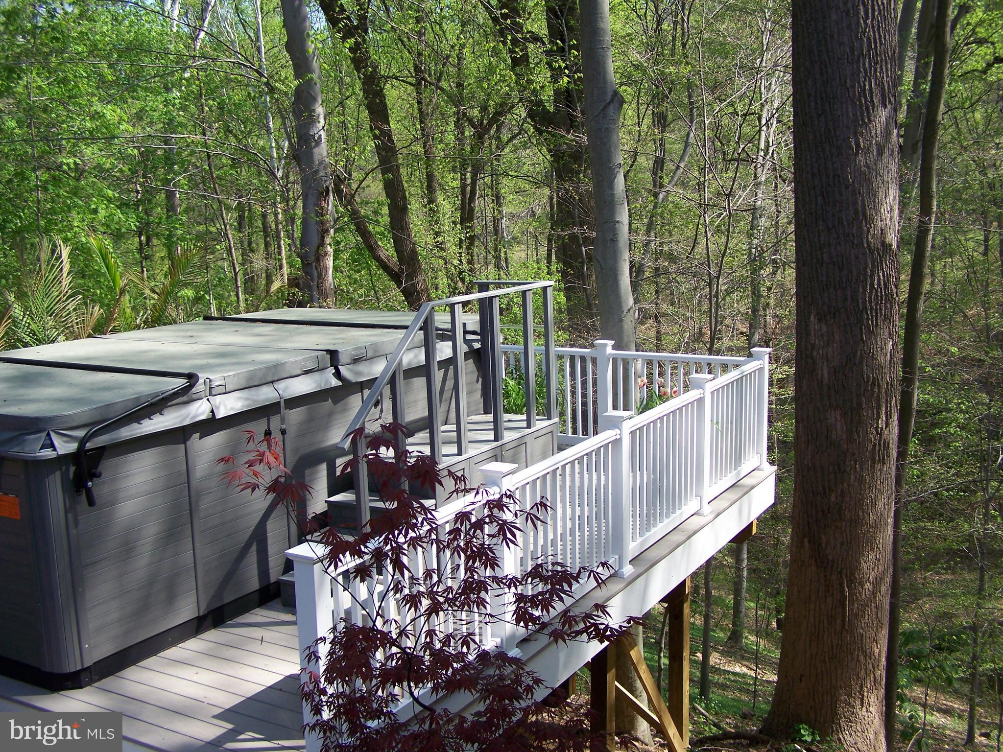 309 Gun Road Baltimore, MD 21227 - Photo 17 of 99 12 Person Outdoor Therma Spa on Azek Deck
