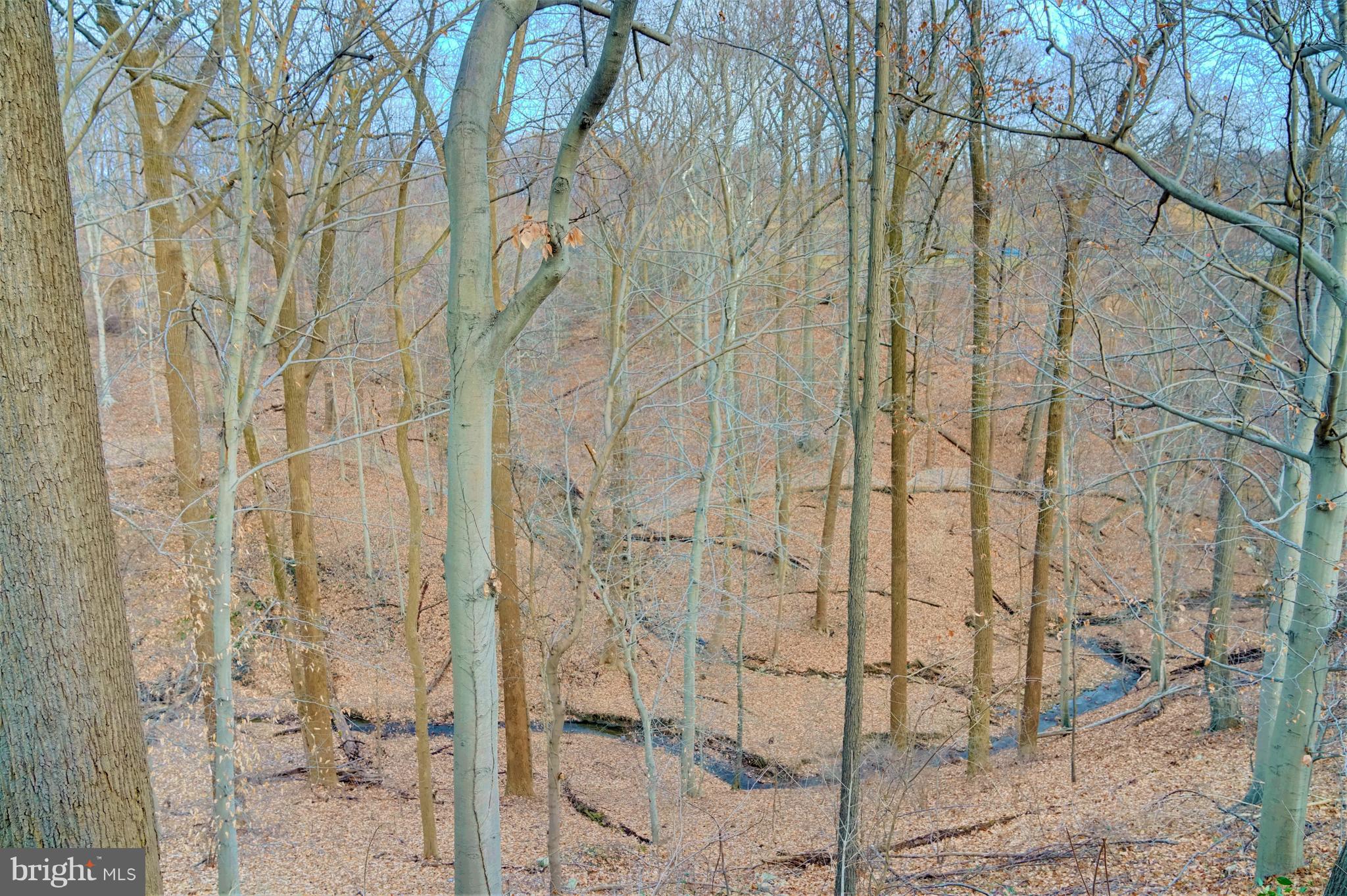 309 Gun Road Baltimore, MD 21227 - Photo 96 of 99 Views of Winding Stream & Mature Trees in Rear