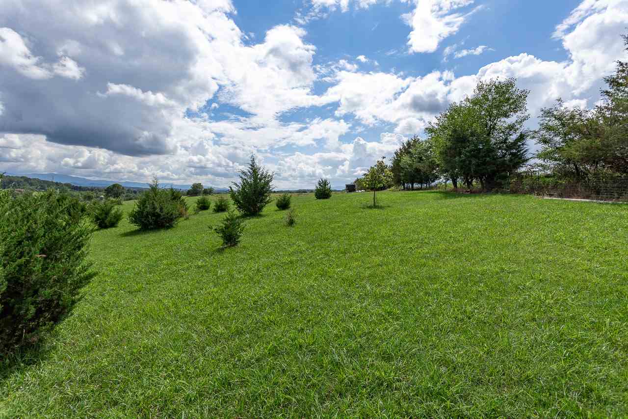 0 Cavalier Road Rileyville, VA 22650 - Photo 3 of 16 a view of a big yard with plants and large trees