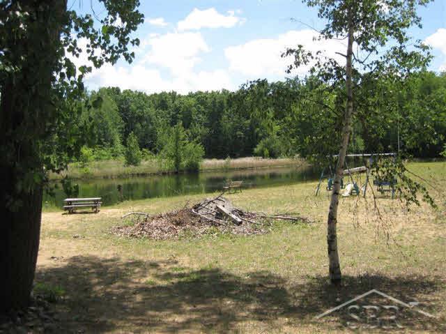 10375 Carr Road St. Charles, MI 48655 - Photo 2 of 10 20097028-1.JPG