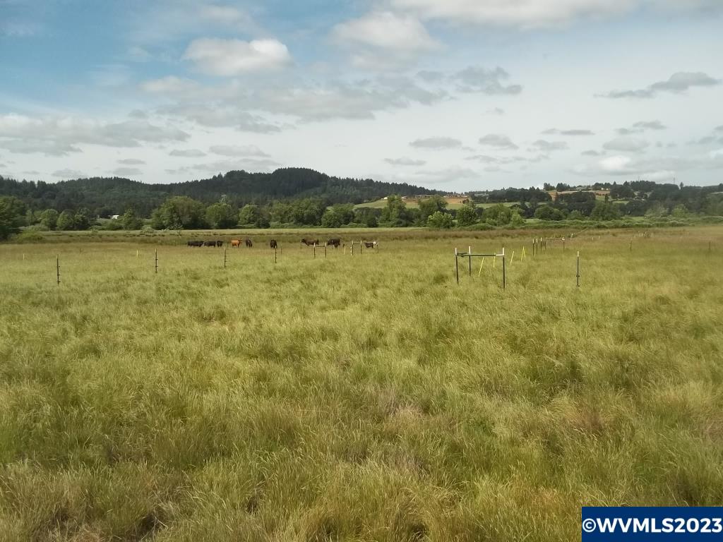 3978 Delaney Road Southeast Salem, OR 97317 - Photo 29 of 31 Gallery Image 29