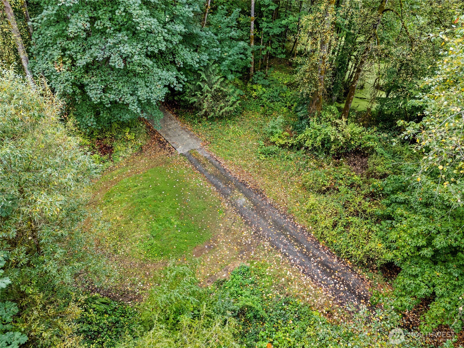 17311 Renton-Maple Valley Road Renton, WA 98058 - Photo 12 of 13 a view of a yard with a tree