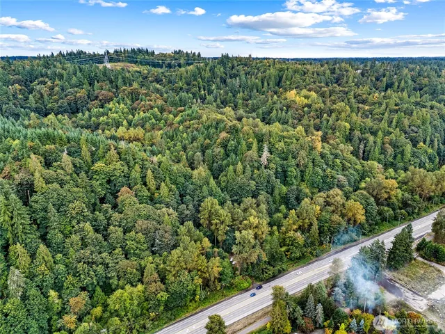 a view of a city with lush green forest