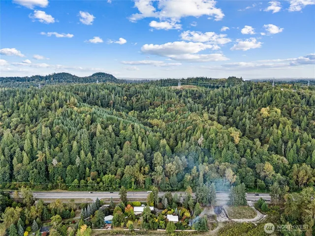 a view of a lush green forest