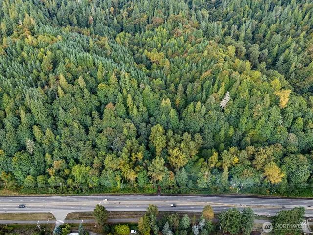 a view of a house with a small yard and large trees
