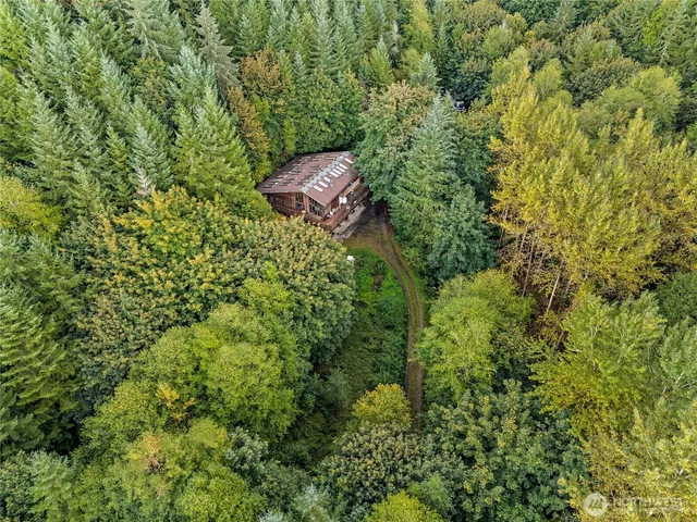 a view of a yard with a tree
