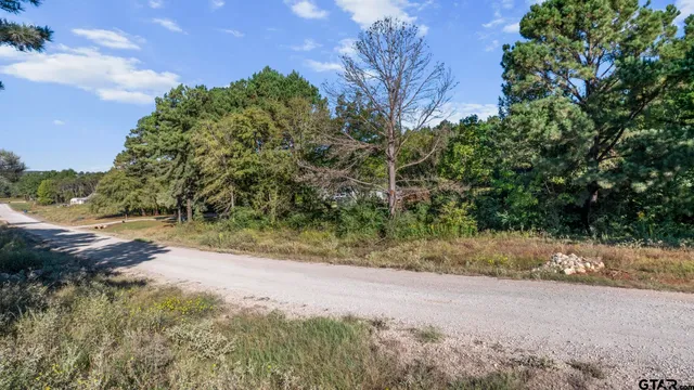 $120,000 | 17218 Stella Maris Street, Winona, TX 75792