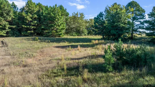 $120,000 | 17218 Stella Maris Street, Winona, TX 75792