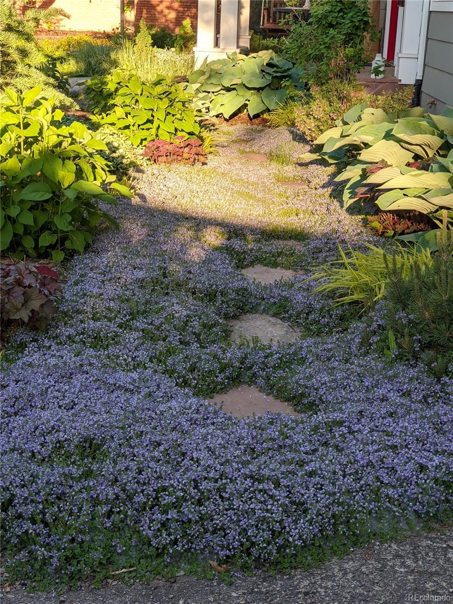 205 Fair Place Boulder, CO 80302 - Photo 29 of 46 a view of a yard with an outdoor space