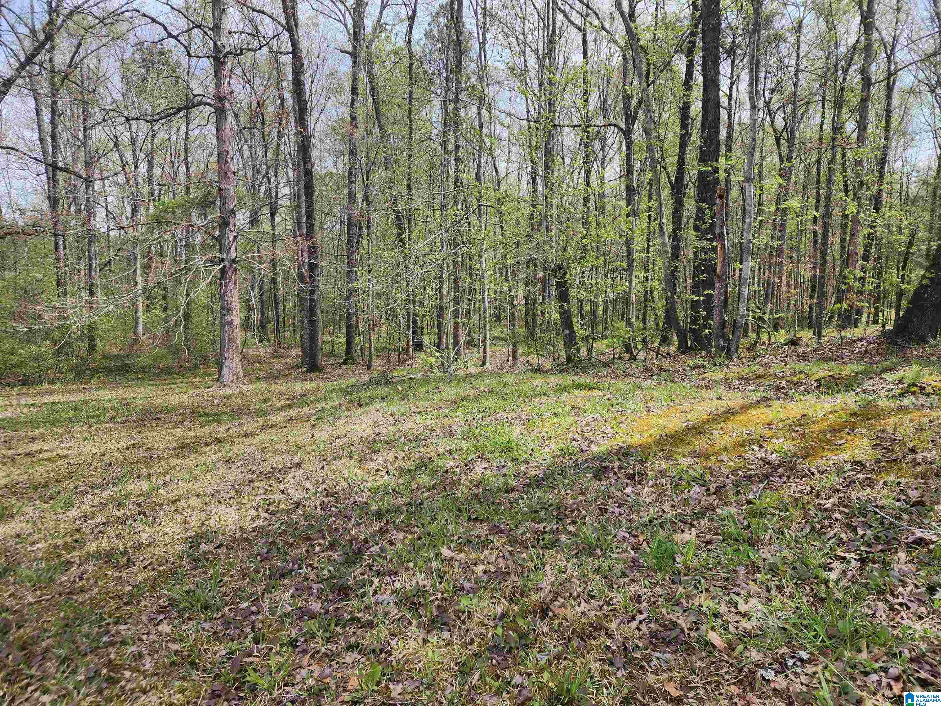 8440 Wire Road Cottondale, AL 35453 - Photo 12 of 12