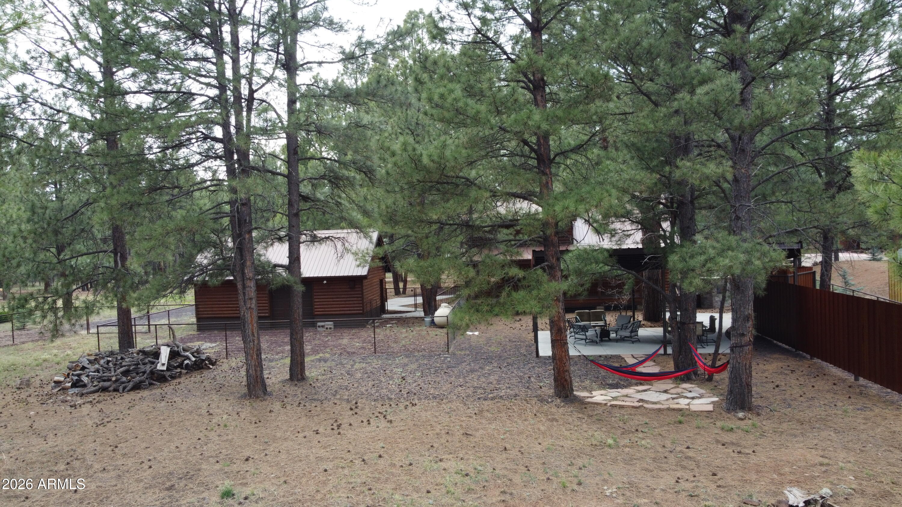 207 Blue Ridge Road Mormon Lake, AZ 86038 - Photo 53 of 67 Another View of Bk Yd