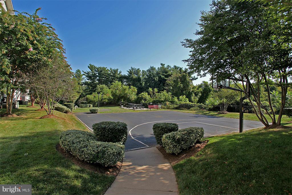 1530 Spring Gate Dr., Unit 9103 McLean, VA 22102 - Photo 27 of 30 a view of a garden with plants and trees