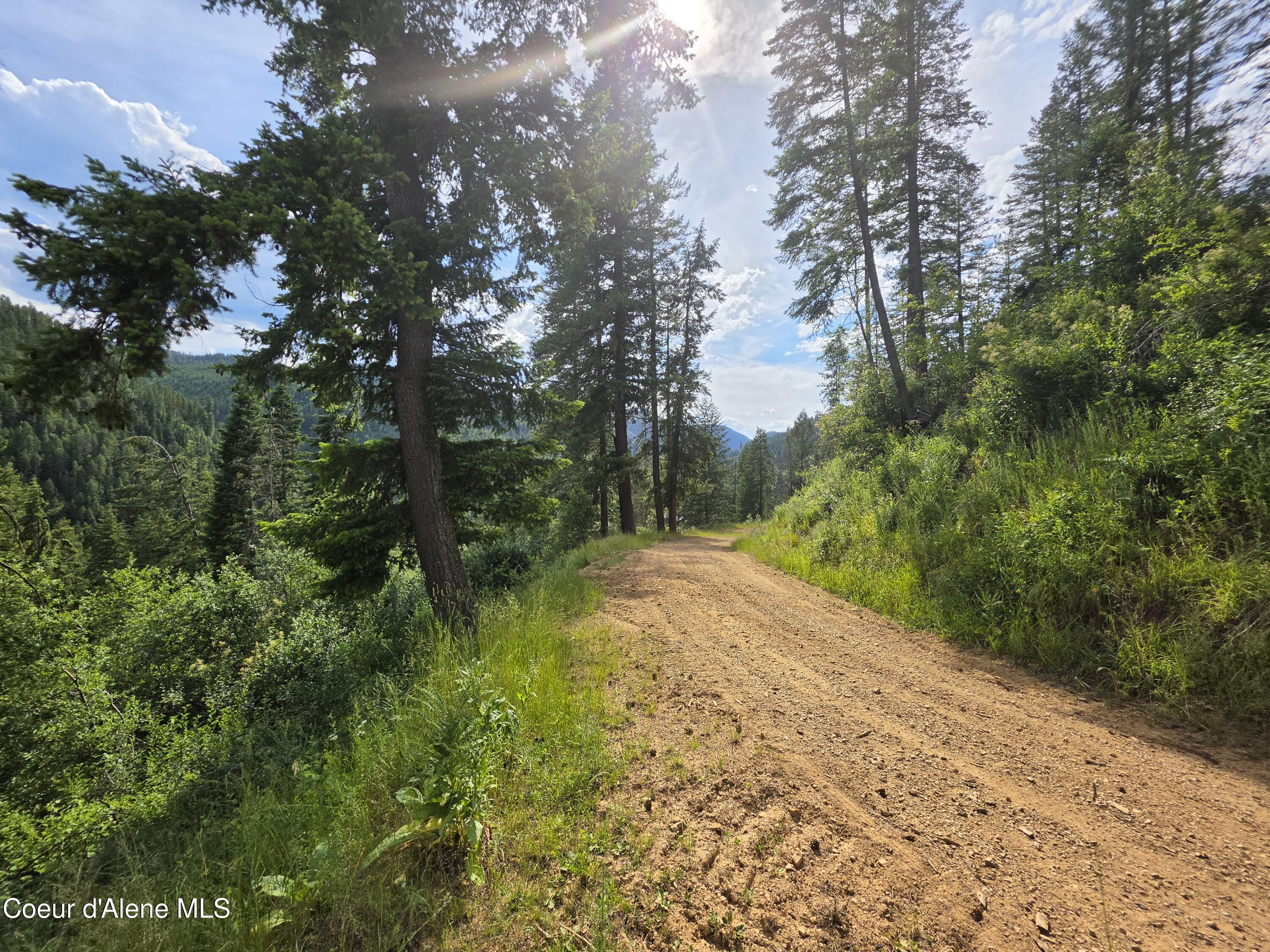 480 Dunn Peak Road Avery, ID 83802 - Photo 55 of 66 6346