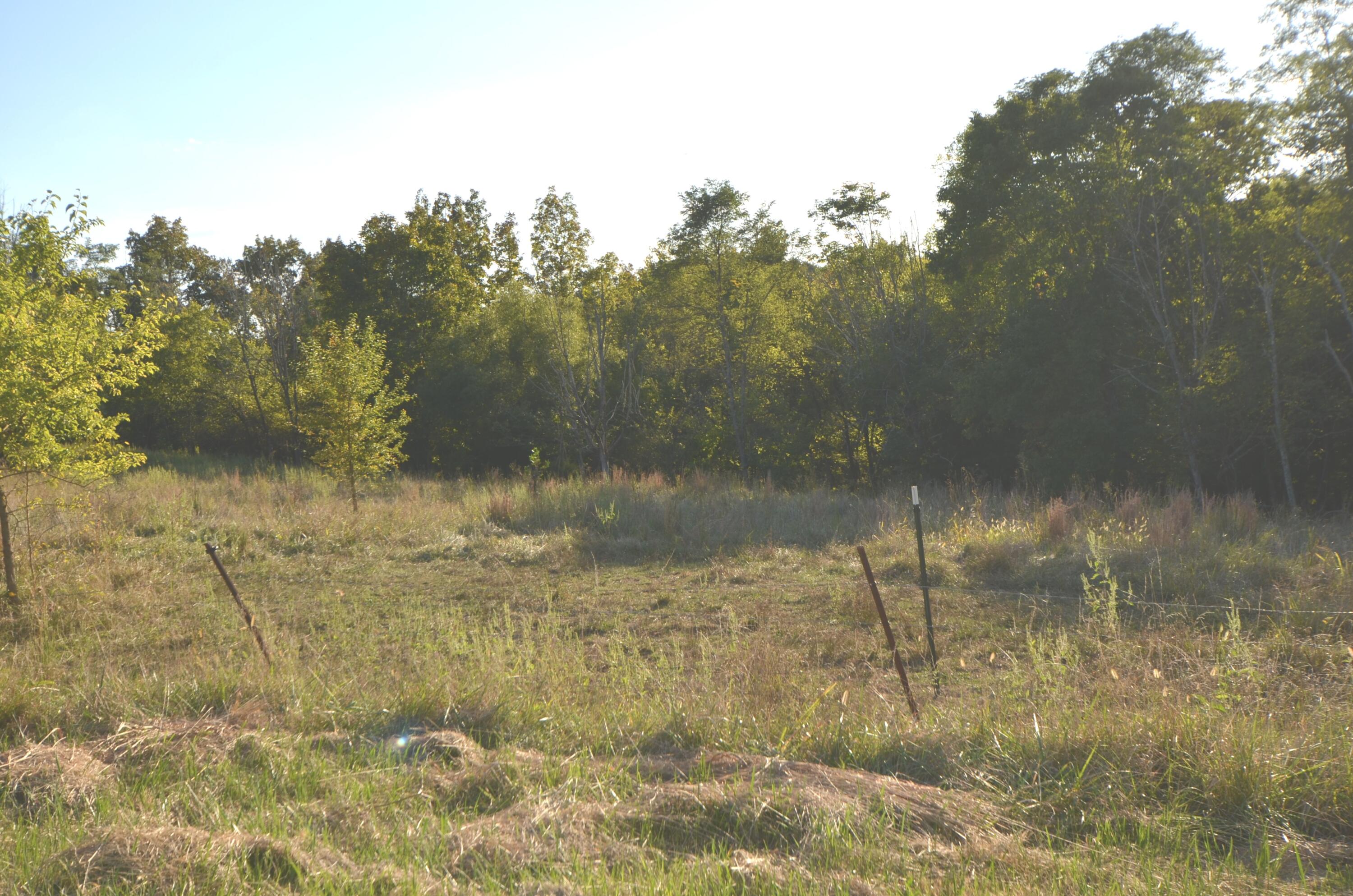 DSC_0010