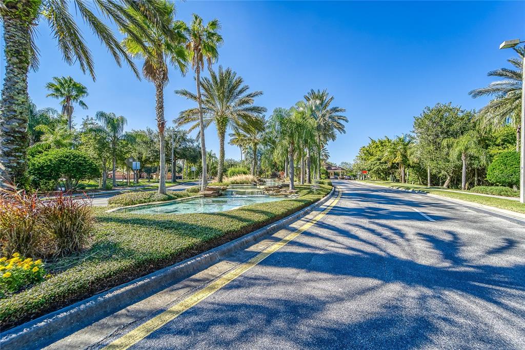 132 Shell Falls Drive Apollo Beach, FL 33572 - Photo 81 of 97