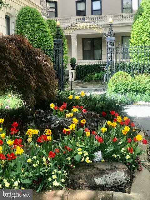 2153 California Street Northwest, Unit 306 Washington, DC 20008 - Photo 3 of 34 a front view of a house with a yard and fountain