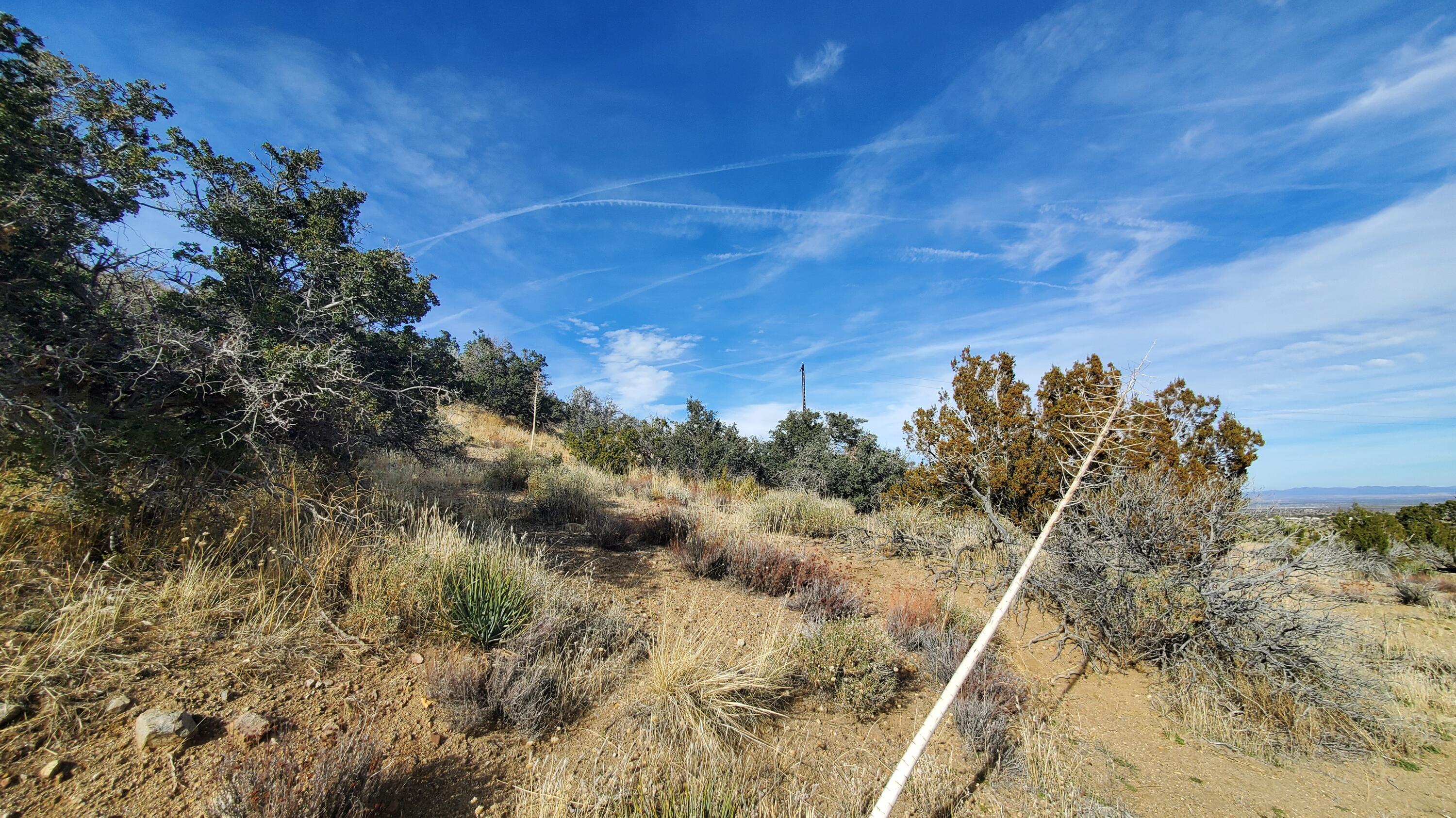 Ross Road Juniper Hills, CA 93543 - Photo 17 of 50 3059-008-069 & 070 (17)