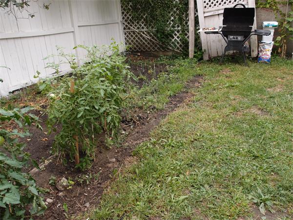 29-31 Puritan Road Somerville, MA 02145 - Photo 20 of 20 Gallery Image 20