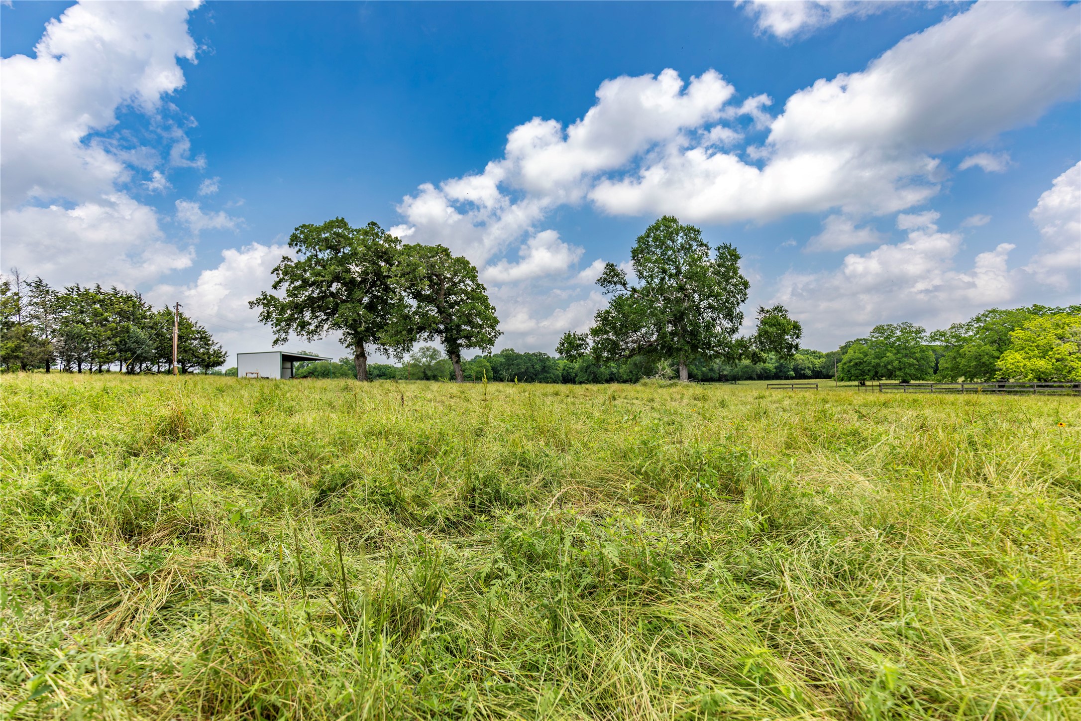 3148 Mill Creek Ranch Road Bellville, TX 77418 - Photo 3 of 13