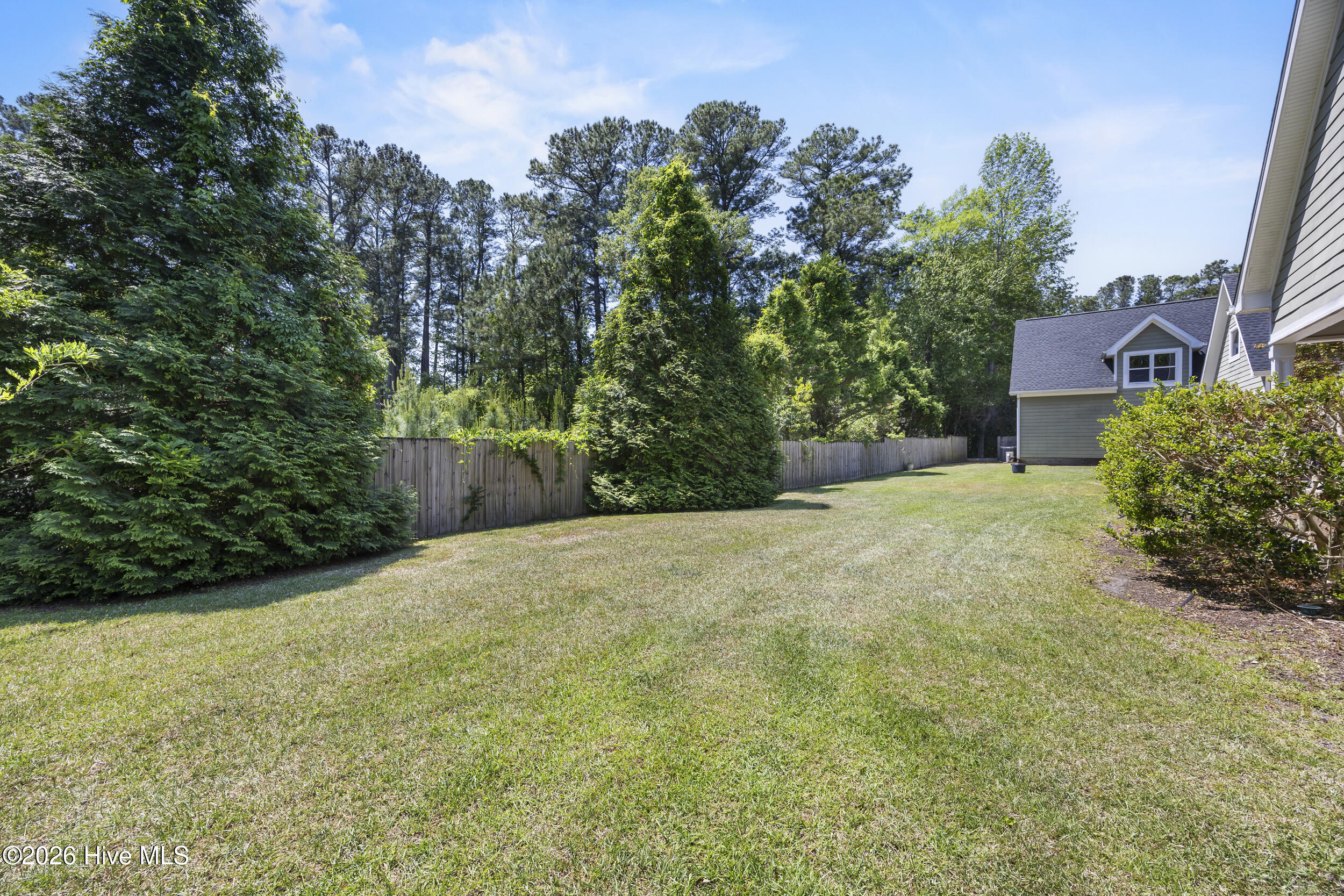 1011 Greenway Road Jacksonville, NC 28546 - Photo 47 of 52 75_backyard