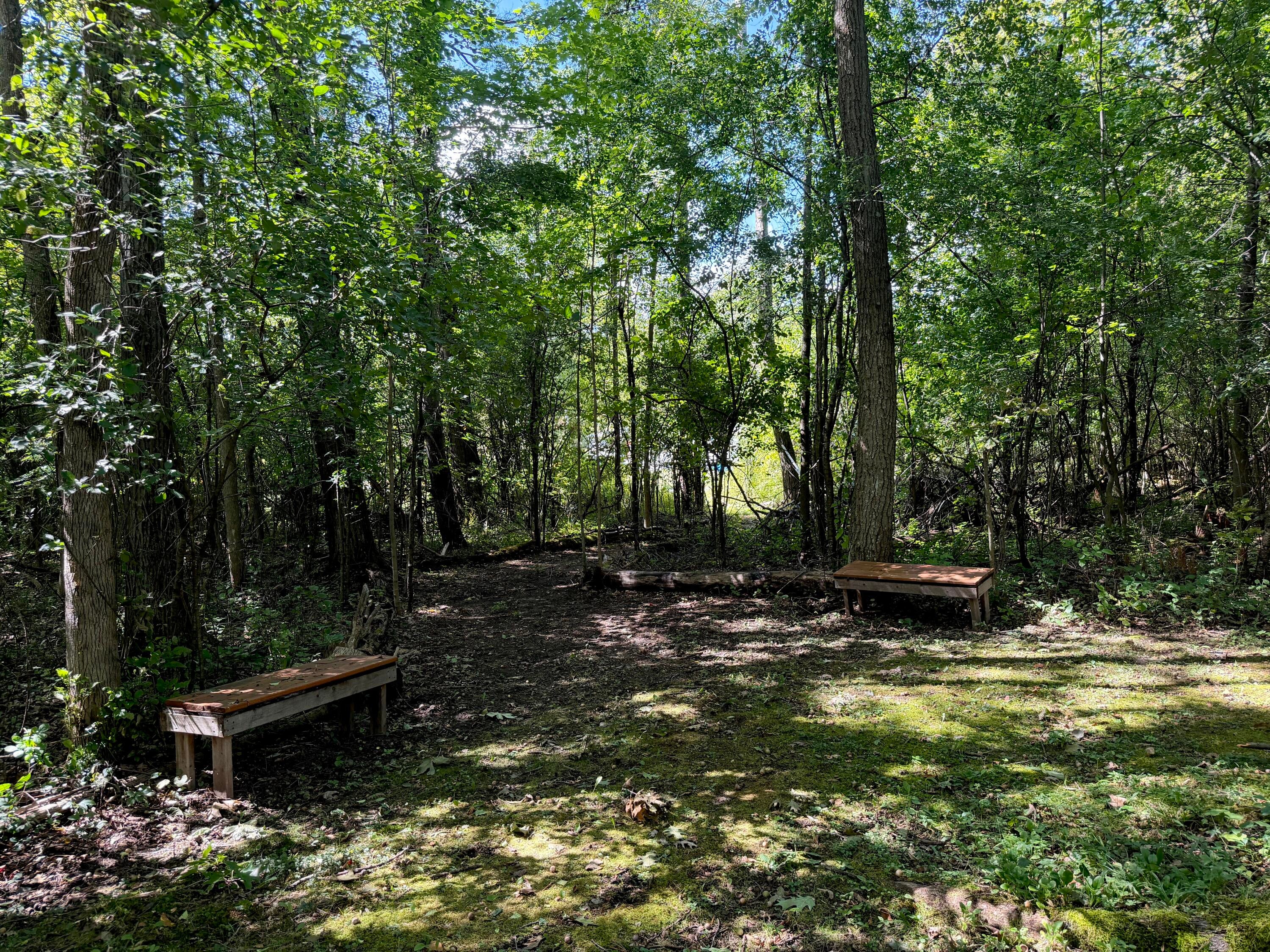 721 Point Road Willsboro, NY 12996 - Photo 9 of 34 Gallery Image 9