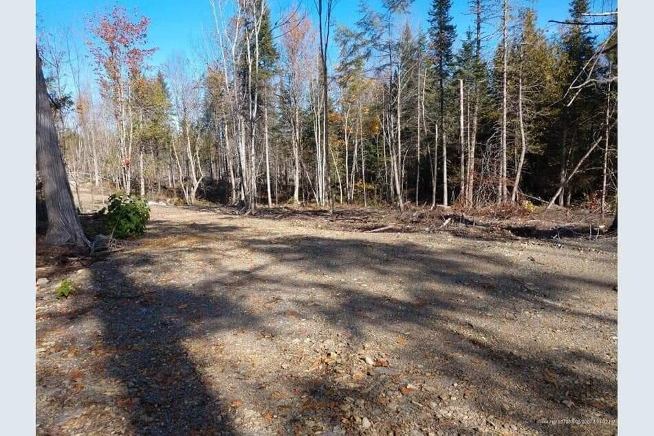 Off Bottle Lake Road Springfield, ME 04487 - Photo 12 of 13 IMG-20230731-WA0046