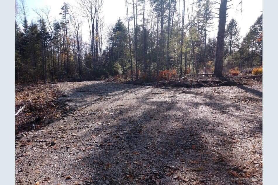 Off Bottle Lake Road Springfield, ME 04487 - Photo 13 of 13 IMG-20230731-WA0045