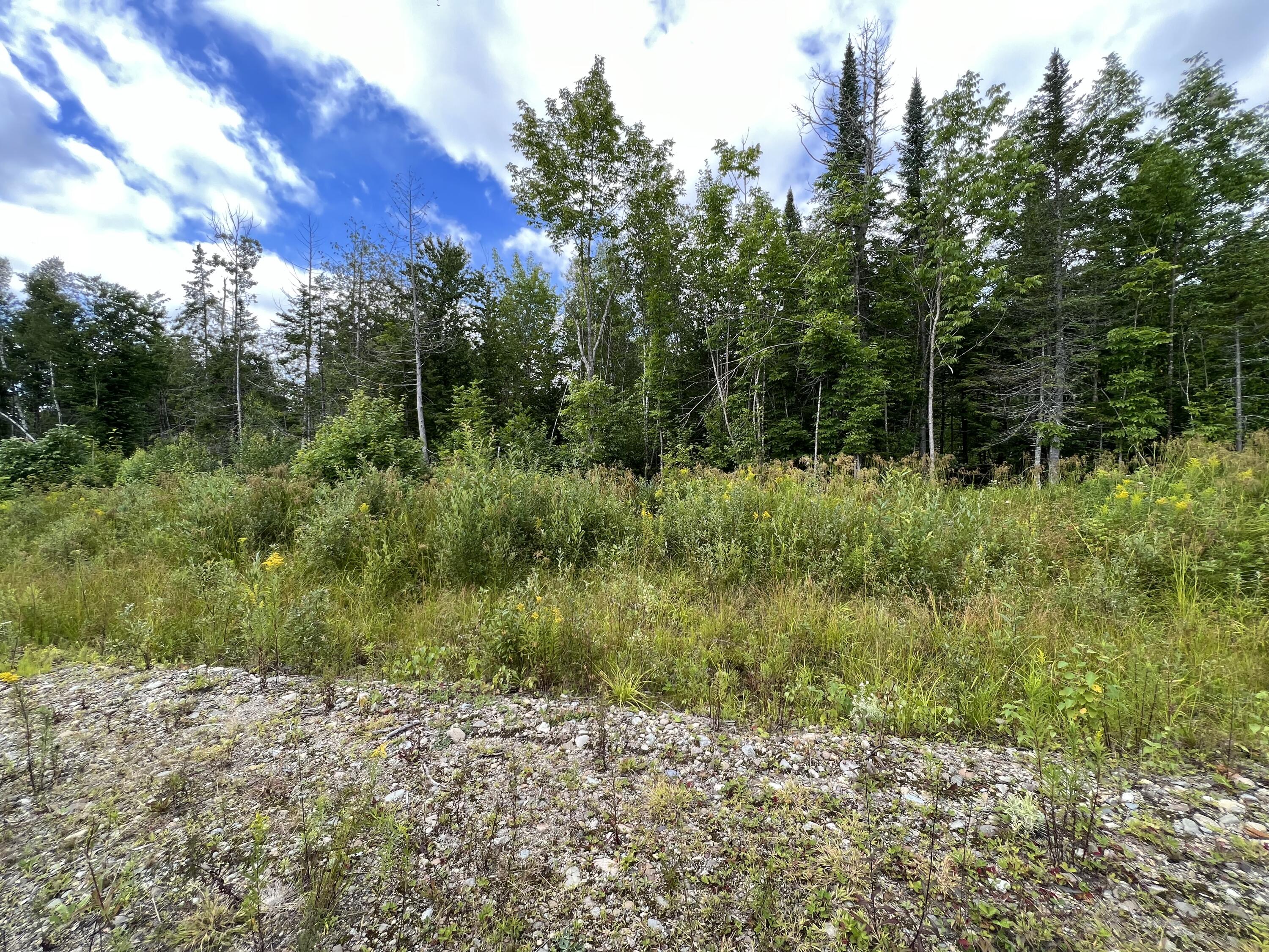 Off Bottle Lake Road Springfield, ME 04487 - Photo 3 of 13 IMG_9097