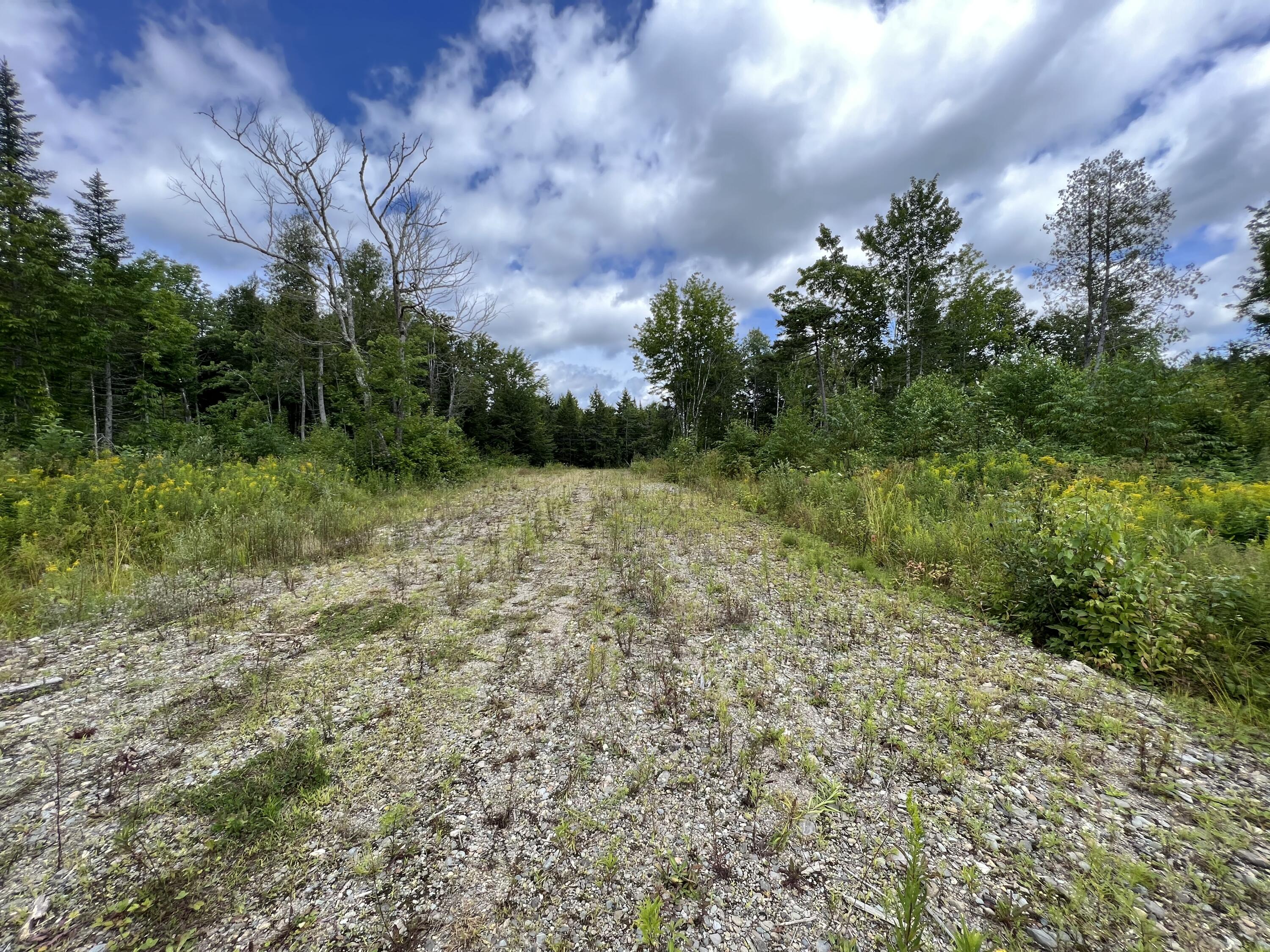 Off Bottle Lake Road Springfield, ME 04487 - Photo 4 of 13 IMG_9098