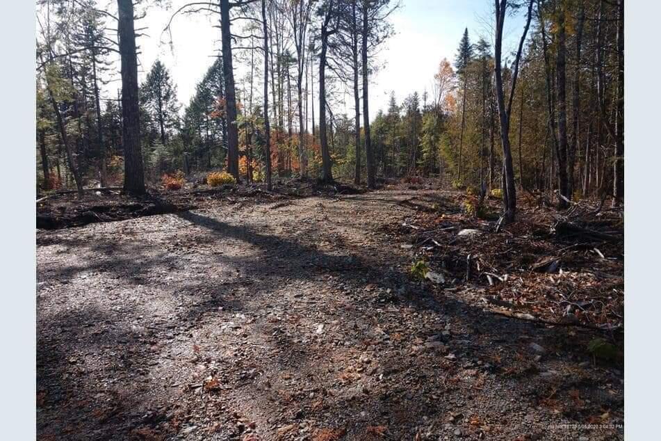 Off Bottle Lake Road Springfield, ME 04487 - Photo 6 of 13 IMG-20230731-WA0031