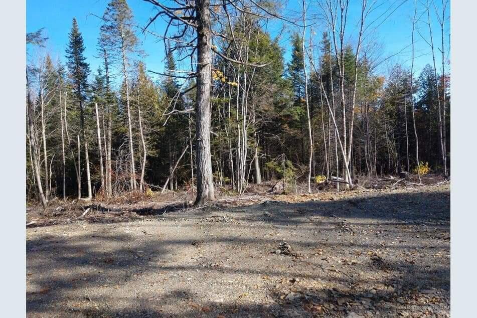 Off Bottle Lake Road Springfield, ME 04487 - Photo 9 of 13 IMG-20230731-WA0034