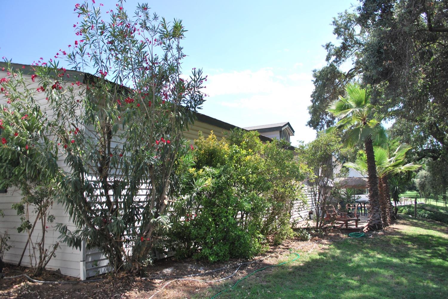 41261B Road 40 Reedley, CA 93654 - Photo 15 of 46 Gallery Image 15
