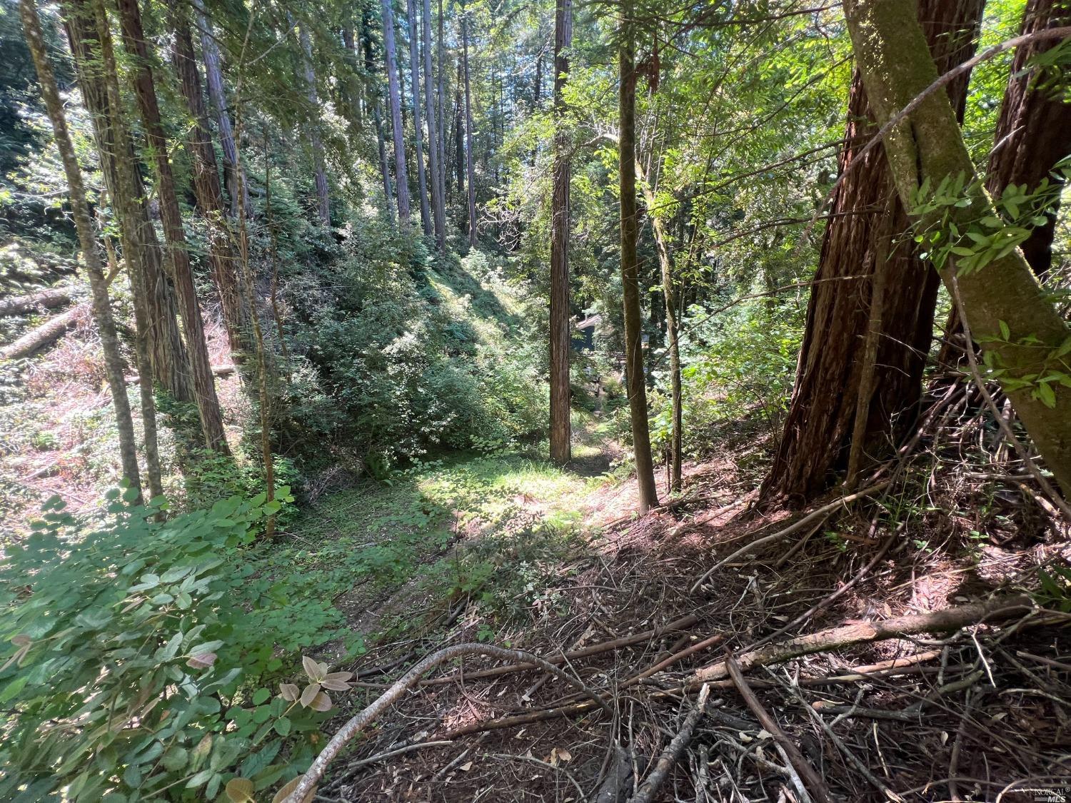 0 Drake Road Guerneville, CA 95446 - Photo 9 of 10 a backyard of a house with lots of green space