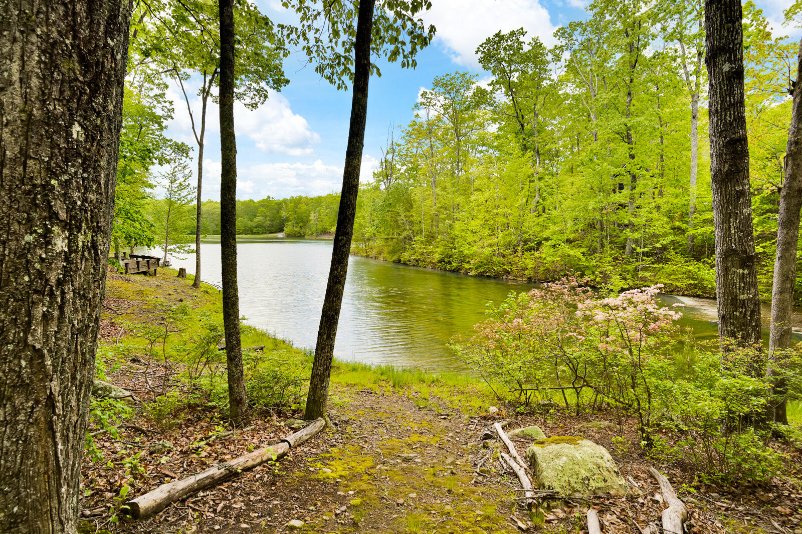 48 Everett Road Armuchee, GA 30105 - Photo 64 of 78 48-Everett-Rd-MLS-Photos-63