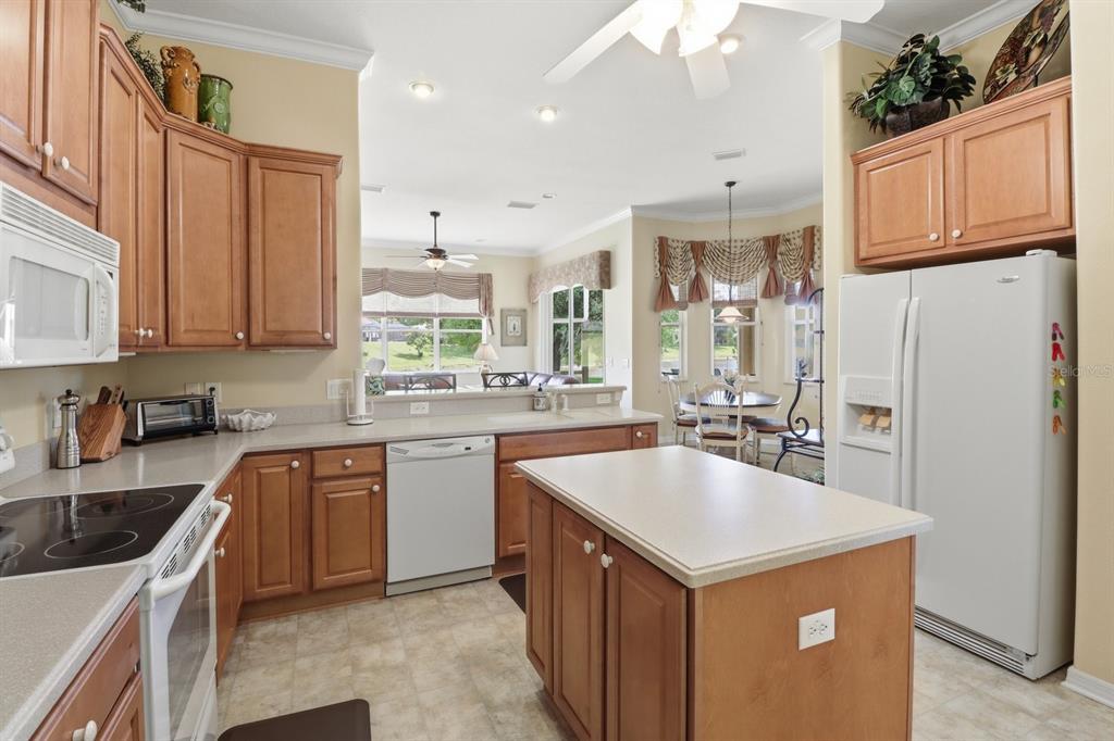 1239 West Beagle Run Loop Hernando, FL 34442 - Photo 11 of 37