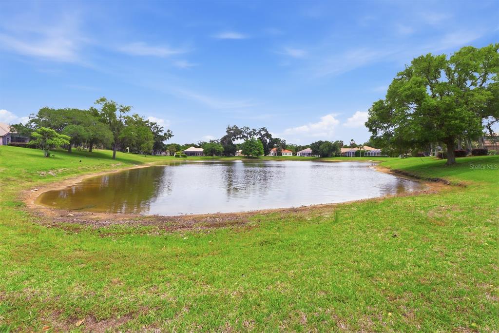 1239 West Beagle Run Loop Hernando, FL 34442 - Photo 9 of 37