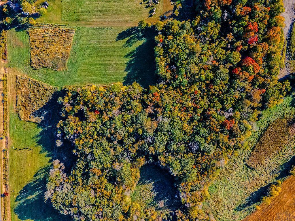 3075 Nelson Road Independence, MN 55328 - Photo 31 of 32