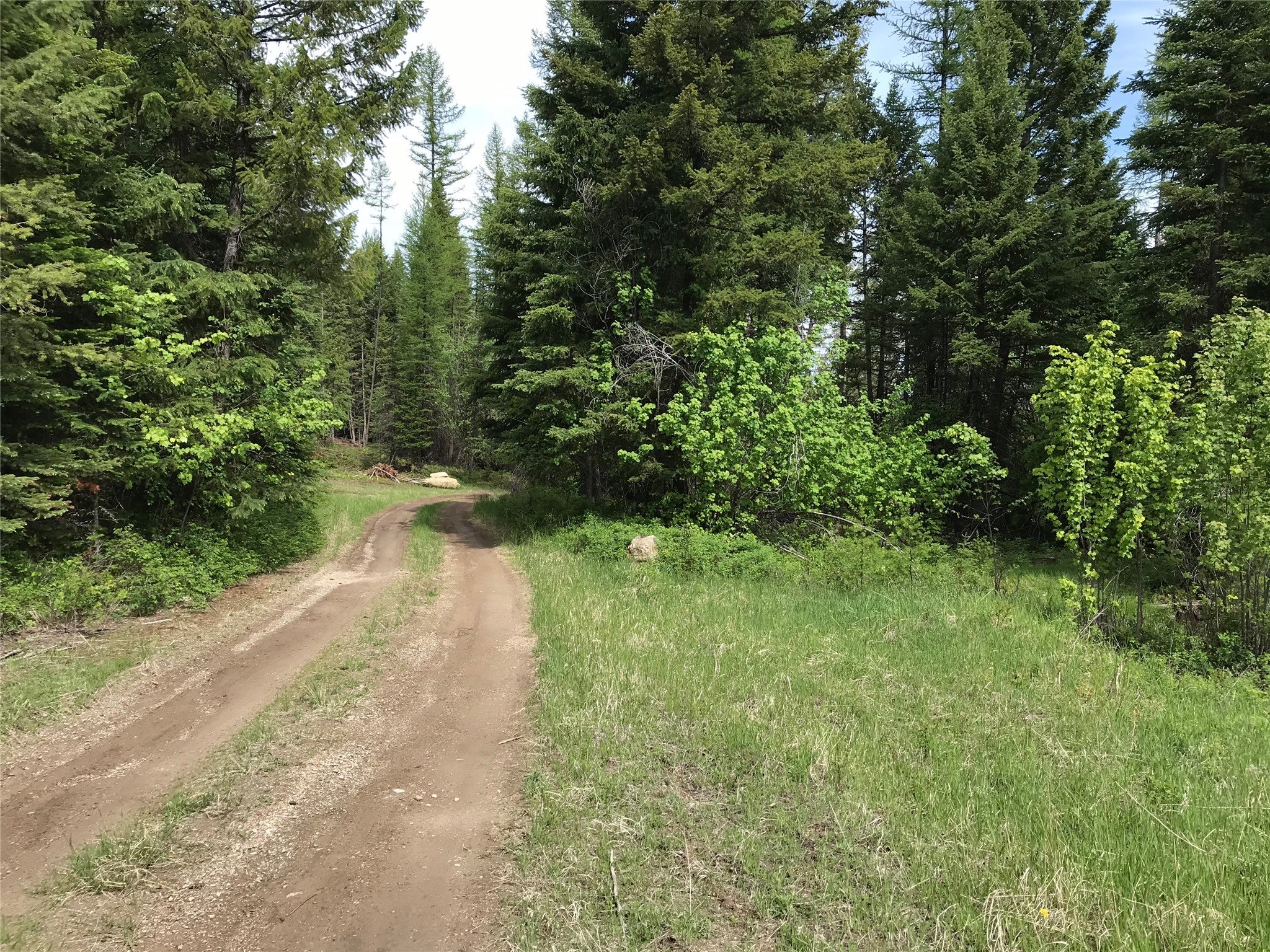 2152 Butcher Creek Road Trego, MT 59934 - Photo 3 of 5 Access/Easement Road thru the Property