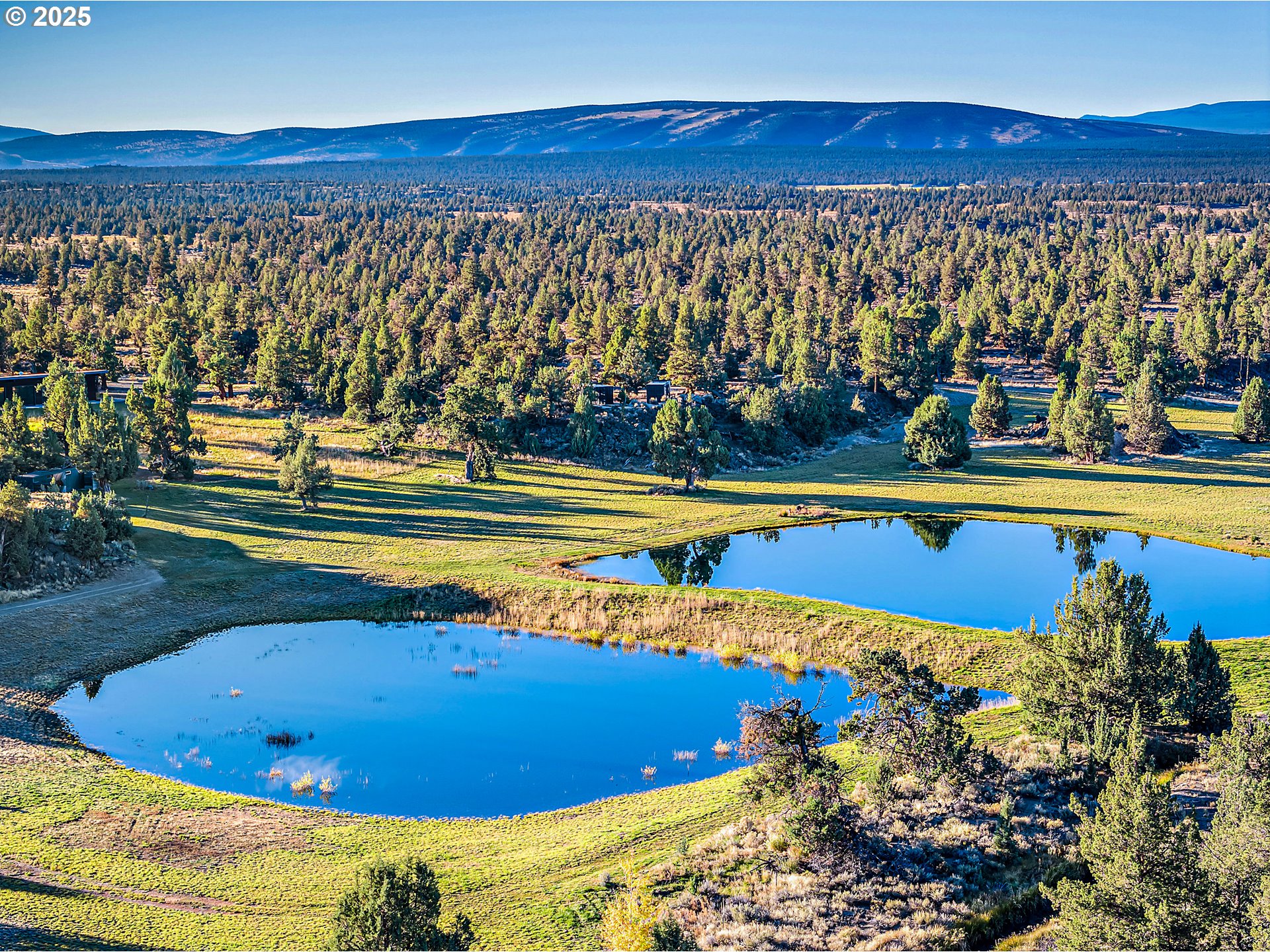 62265 Dodds Road Bend, OR 97701 - Photo 5 of 47 a view of swimming pool and an outdoor space