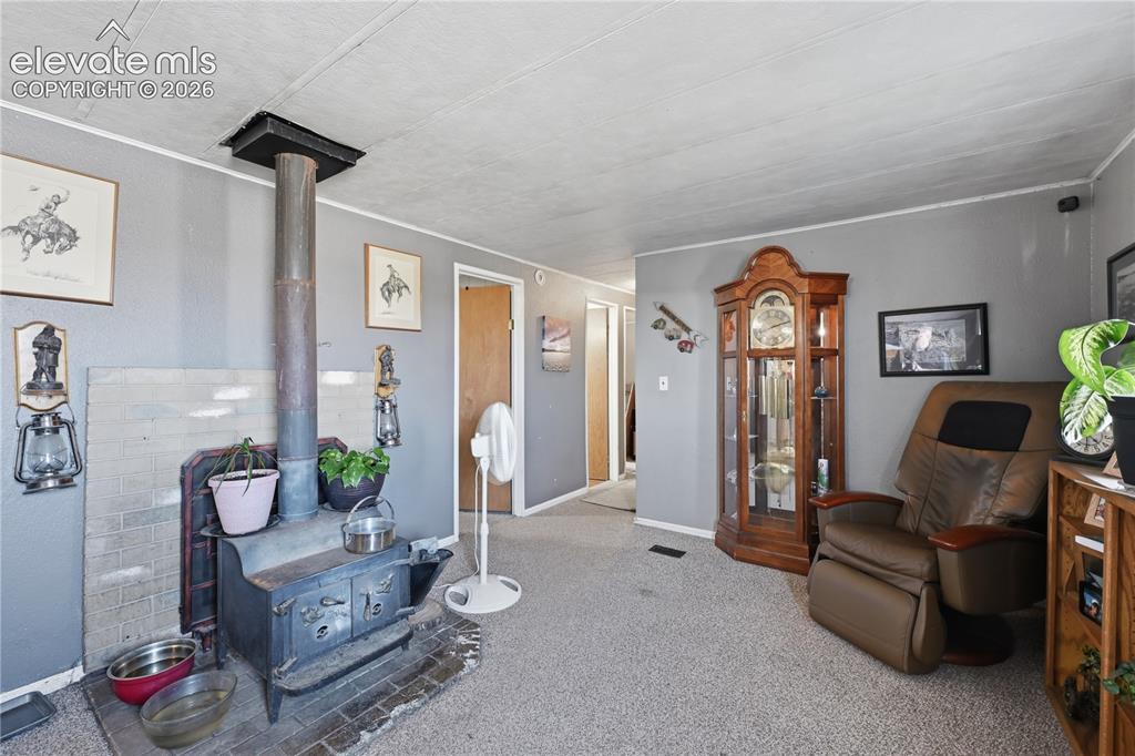 7775 Brule Road Colorado Springs, CO 80908 - Photo 23 of 28