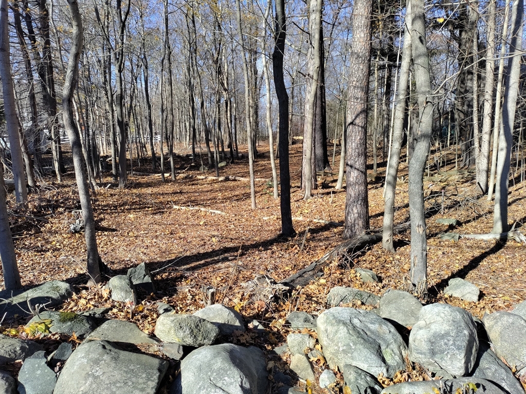 125 Topsfield Road Ipswich, MA 01938 - Photo 2 of 4 a view of a backyard of the house
