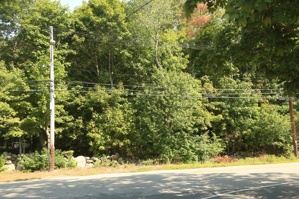 125 Topsfield Road Ipswich, MA 01938 - Photo 4 of 4 a view of a yard with a tree
