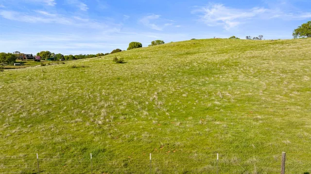 a view of a yard with an ocean and in background