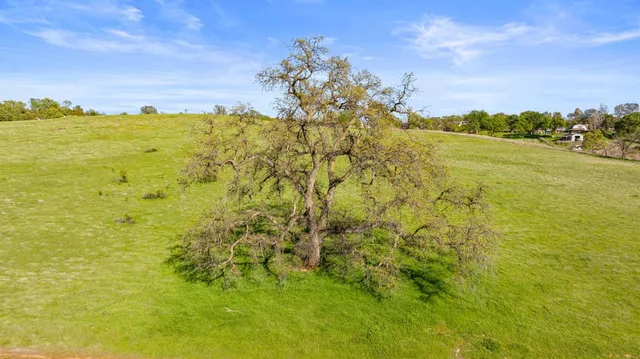 a view of yard with green space